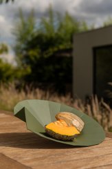 Coleção Wagasa - Escultura Funcional